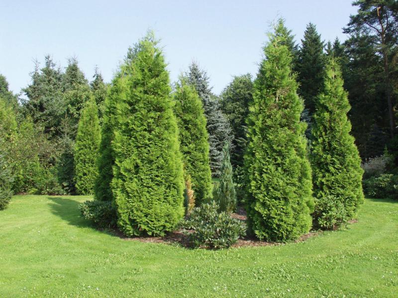 Ferienpark Leitzingen سولتو المظهر الخارجي الصورة